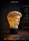DAVID — Sculptural Table Lamp